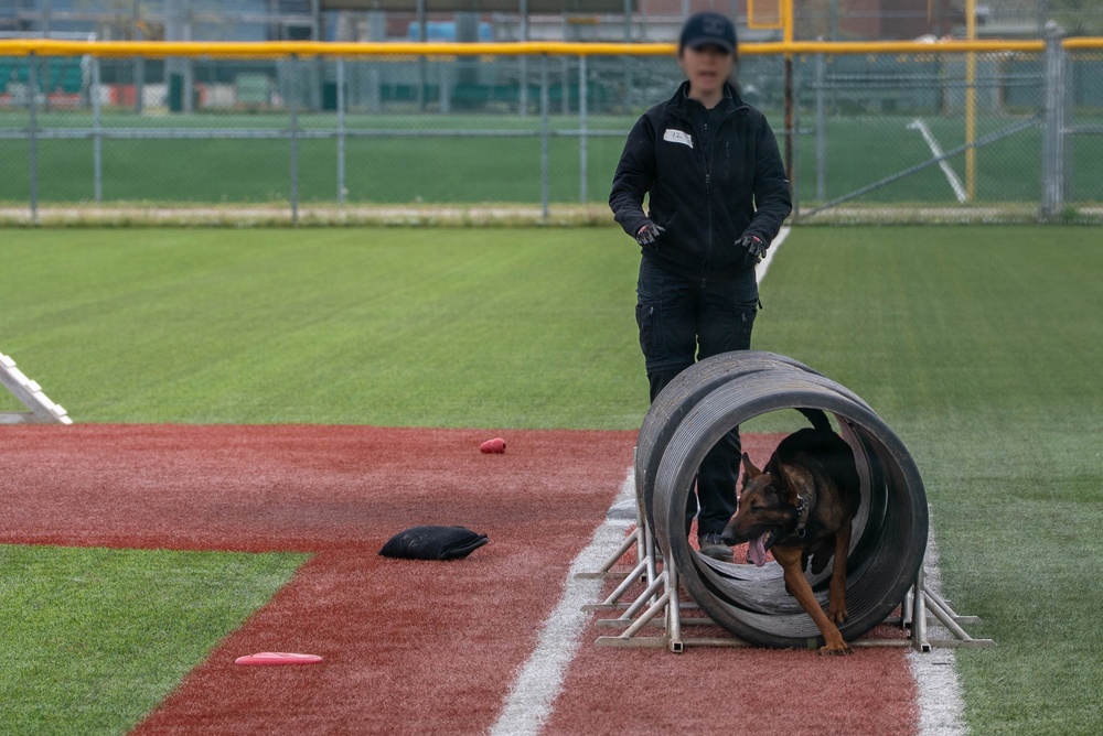 Eighth Army's Combined Joint Military Working Dog Competition 2026