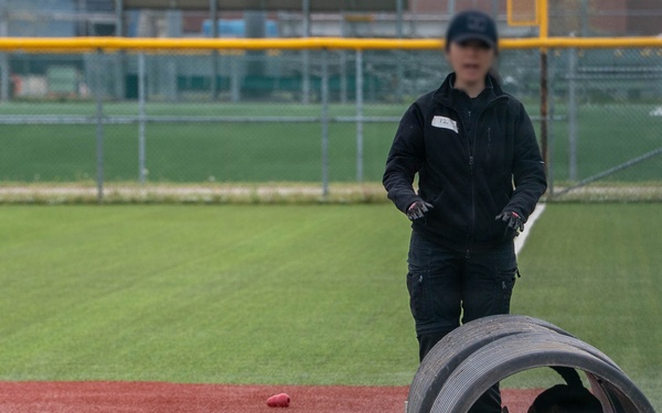 Eighth Army's Combined Joint Military Working Dog Competition 2026