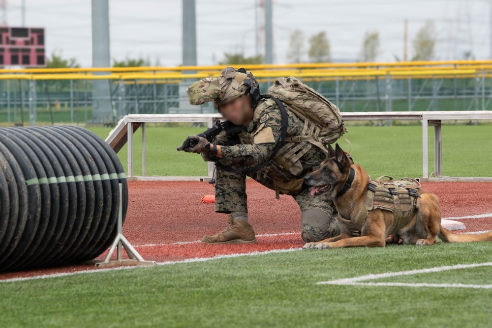 Eighth Army's Combined Joint Military Working Dog Competition 2026
