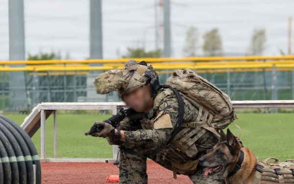 Eighth Army's Combined Joint Military Working Dog Competition 2026