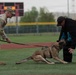 Eighth Army's Combined Joint Military Working Dog Competition 2026