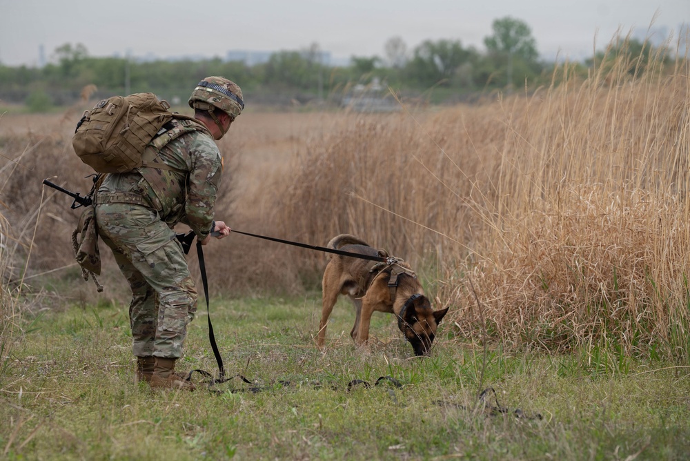 Eighth Army's Combined Joint Military Working Dog Competition 2026