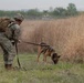 Eighth Army's Combined Joint Military Working Dog Competition 2026