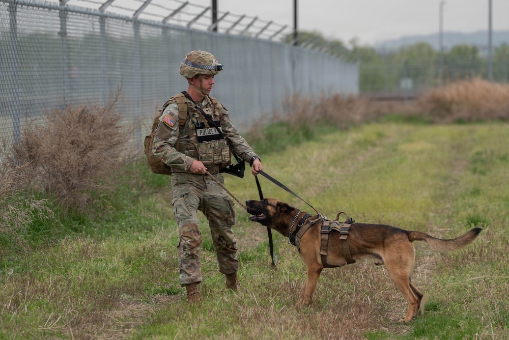 Eighth Army's Combined Joint Military Working Dog Competition 2026