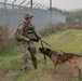 Eighth Army's Combined Joint Military Working Dog Competition 2026