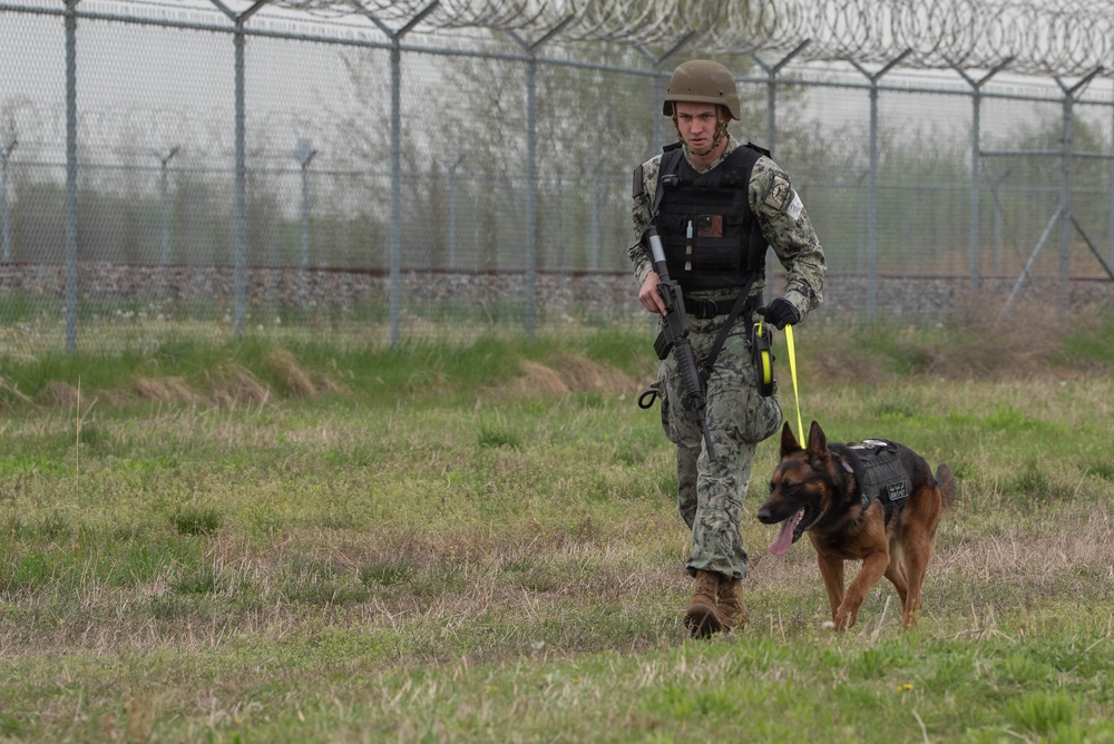 Eighth Army's Joint Combined Military Working Dog Competition 2026