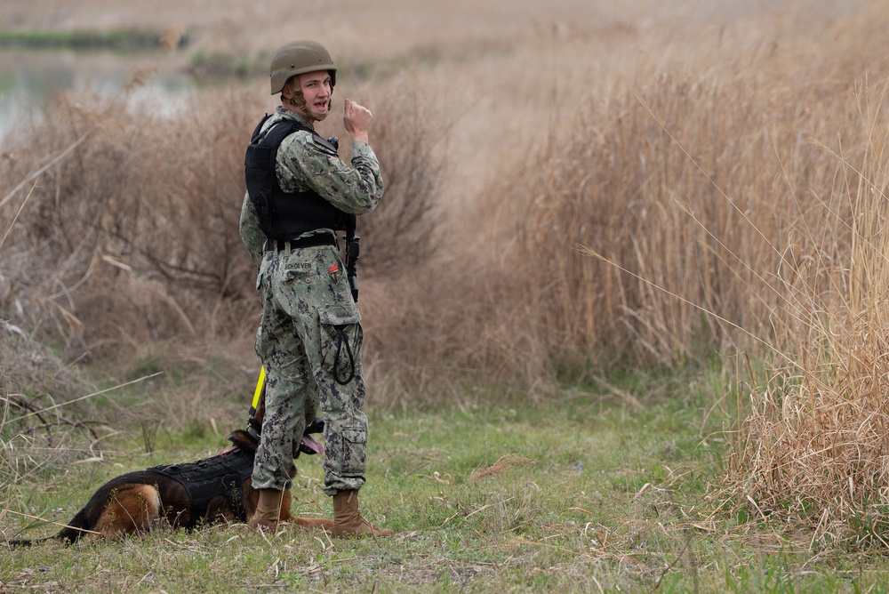 Eighth Army's Combined Joint Military Working Dog Competition 2026