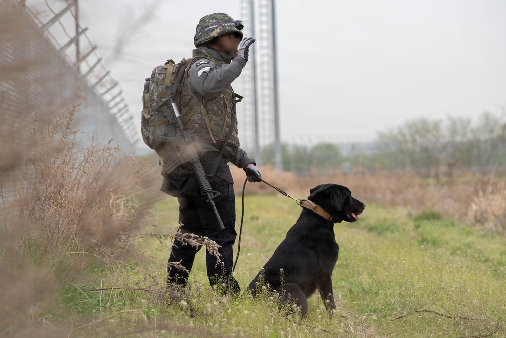 Eighth Army's Combined Joint Military Working Dog Competition 2026