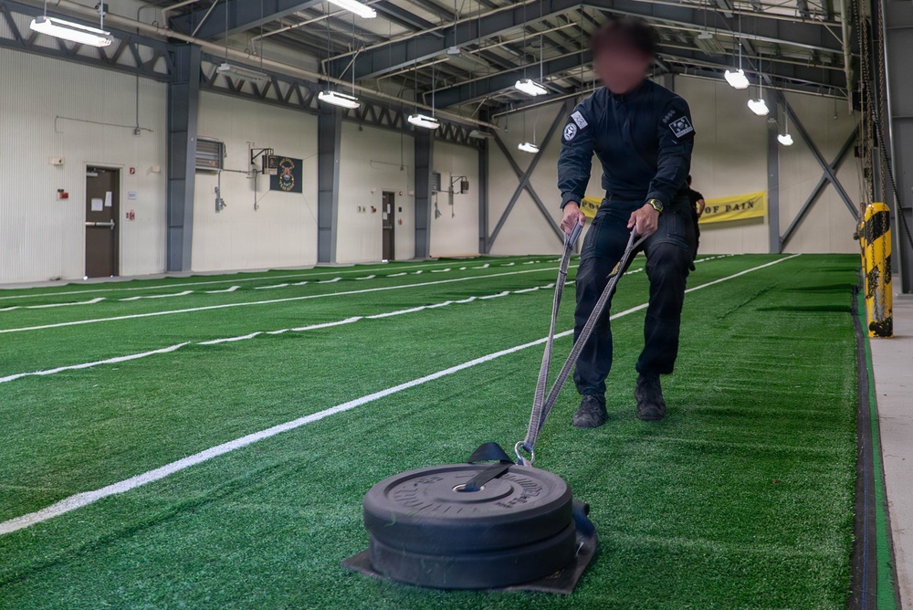 Eighth Army's Combined Joint Military Working Dog Competition 2026