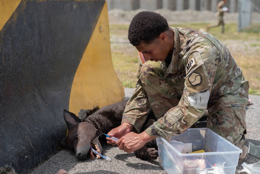Eighth Army's Combined Joint Military Working Dog Competition 2026