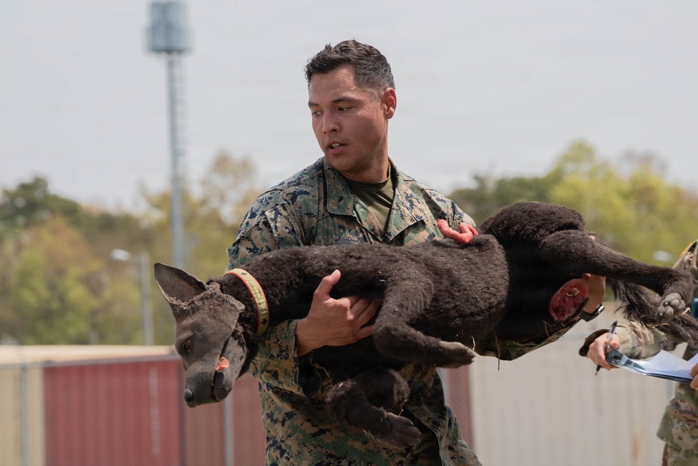 Eighth Army's Combined Joint Military Working Dog Competition 2026