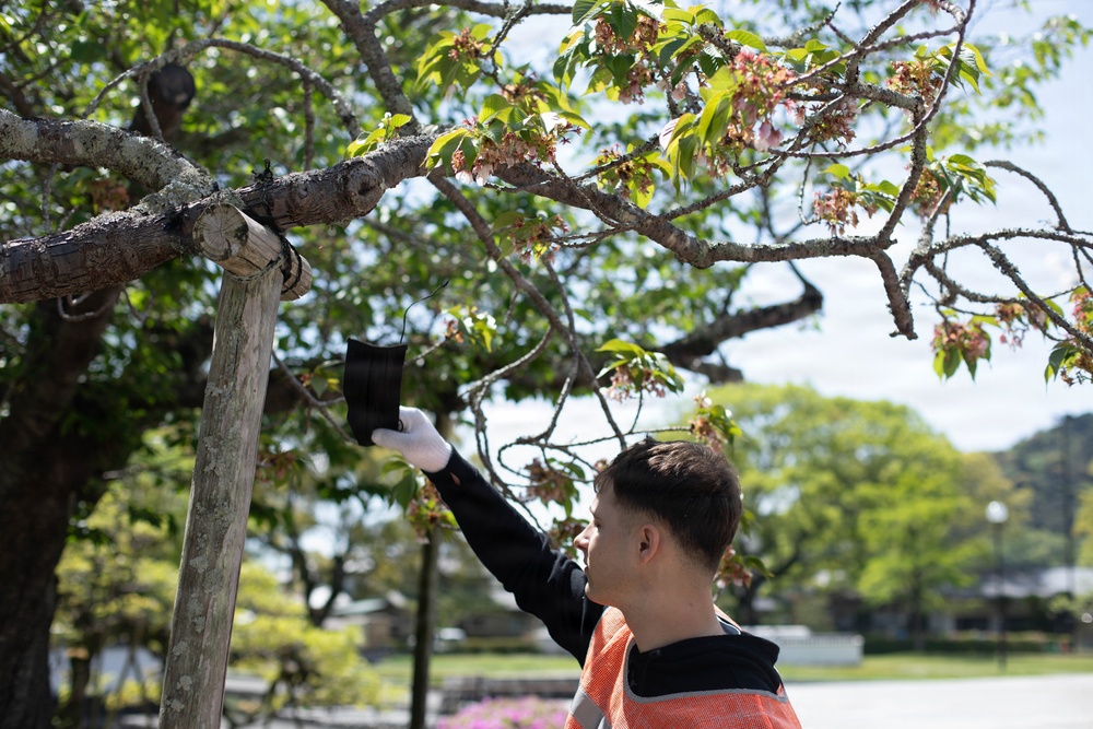 MCAS Iwakuni SMP Yokoyama Clean-up