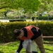 MCAS Iwakuni SMP Yokoyama Clean-up