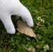 MCAS Iwakuni SMP Base Cleanup