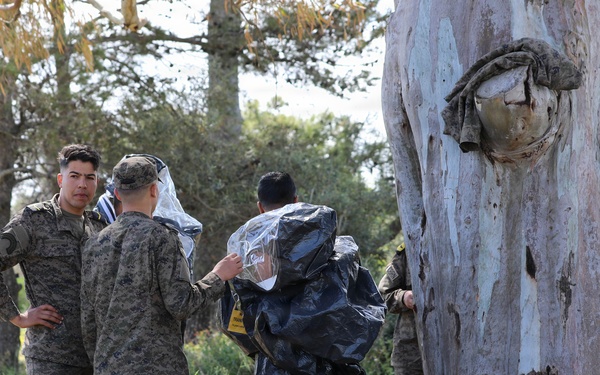 84th CST and Tunisian forces conduct CBRN exercise during African Lion 2026
