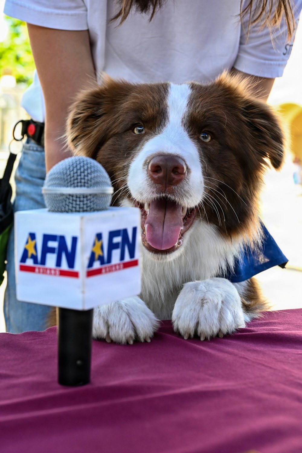 31st FW Community Connects at Spring into Spring