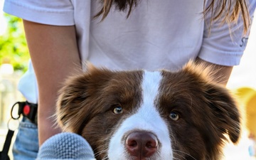31st FW Community Connects at Spring into Spring