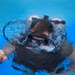 Combat Dive Qualification Course Training