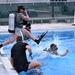Combat Dive Qualification Course Training