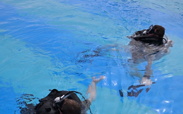 Combat Dive Qualification Course Training