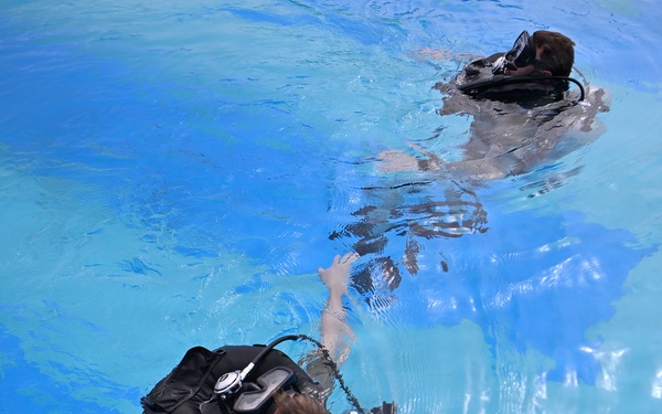 Combat Dive Qualification Course Training