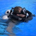 Combat Dive Qualification Course Training