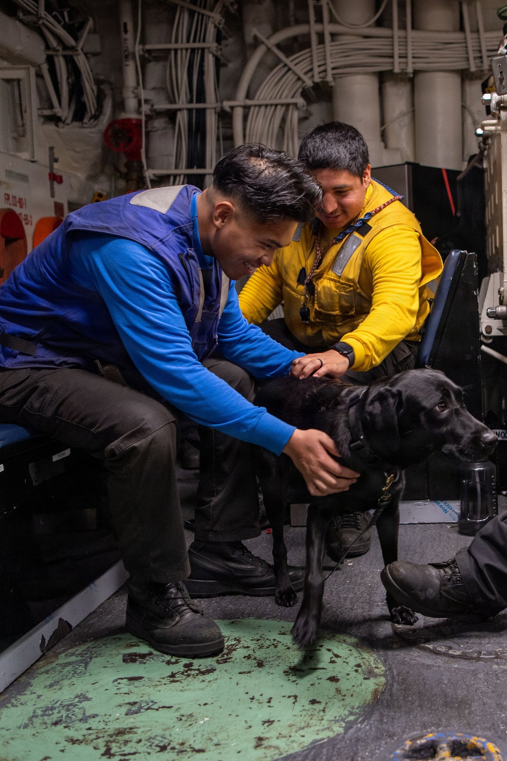 Boxer’s Morale Dog Comforts Sailors