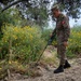 US and Tunisian Armed Forces conduct explosive ordnance disposal squad tactics exercises
