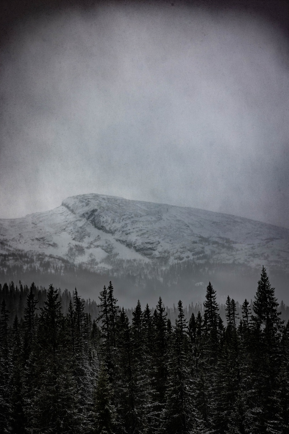 Combat Logistics Battalion 24 Showcases Unit Readiness through Long-Range Convoy