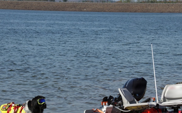 Beltzville Canine Water Safety Team Demonstrations