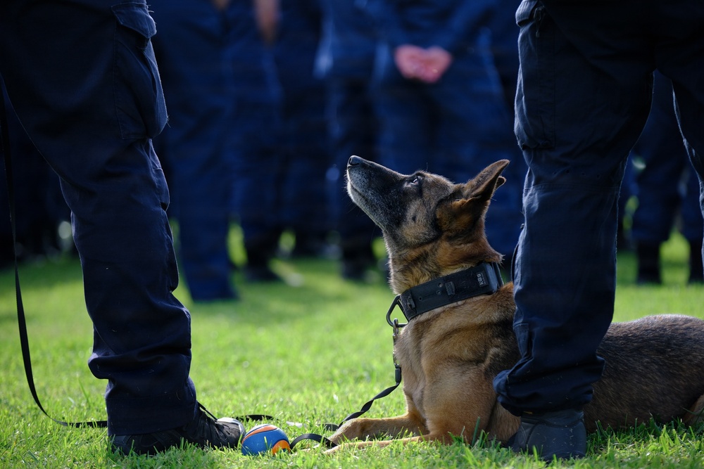 U.S. Coast Guard K-9 Serby