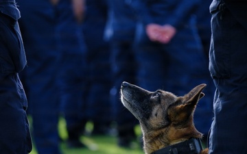 U.S. Coast Guard K-9 Serby