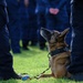 U.S. Coast Guard K-9 Serby