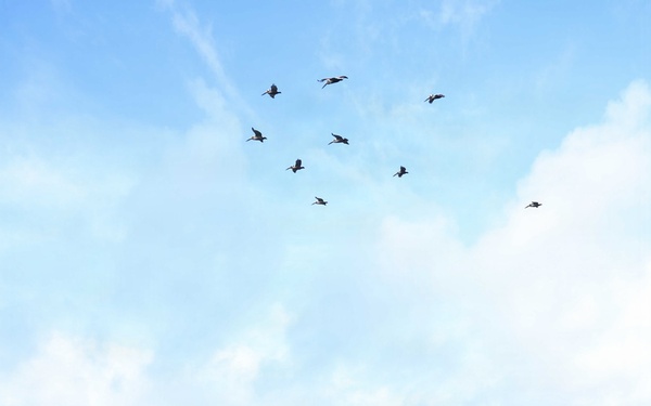 USS KEARSARGE MAN THE RAILS ENROUTE TO FLEET WEEK HOUSTON