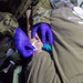 Vermont’s Task Force Centennial Alliance 2026 Connects Infrastructure Upgrades, Training for Military Medics and History