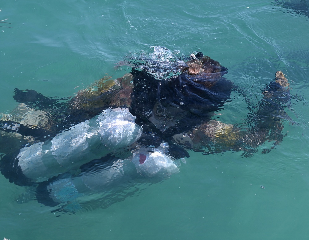 Combat Diver Qualification Course Students Training in Key West