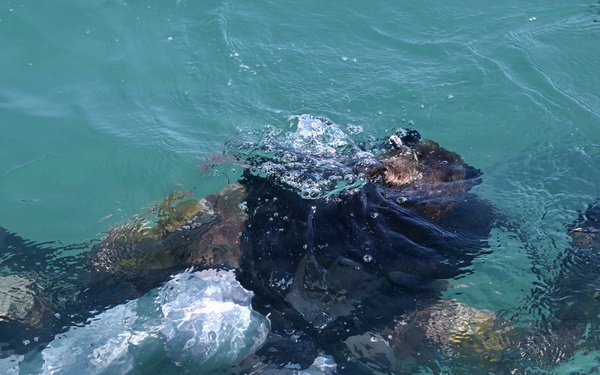 Combat Diver Qualification Course Students Training in Key West