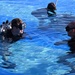 Combat Diver Qualification Course Students Training in Key West