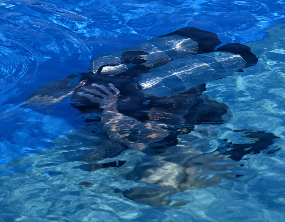 Combat Diver Qualification Course Students Training in Key West
