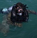 Combat Diver Qualification Course Students Training in Key West