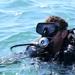 Combat Diver Qualification Course Students Training in Key West