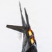 F-22 Aerial Demonstration Team joins 52nd Annual SUN 'n FUN Aerospace Expo