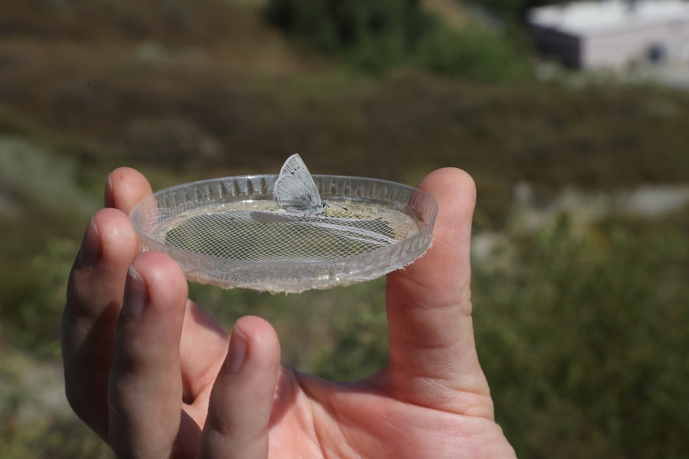 A true victory for conservation