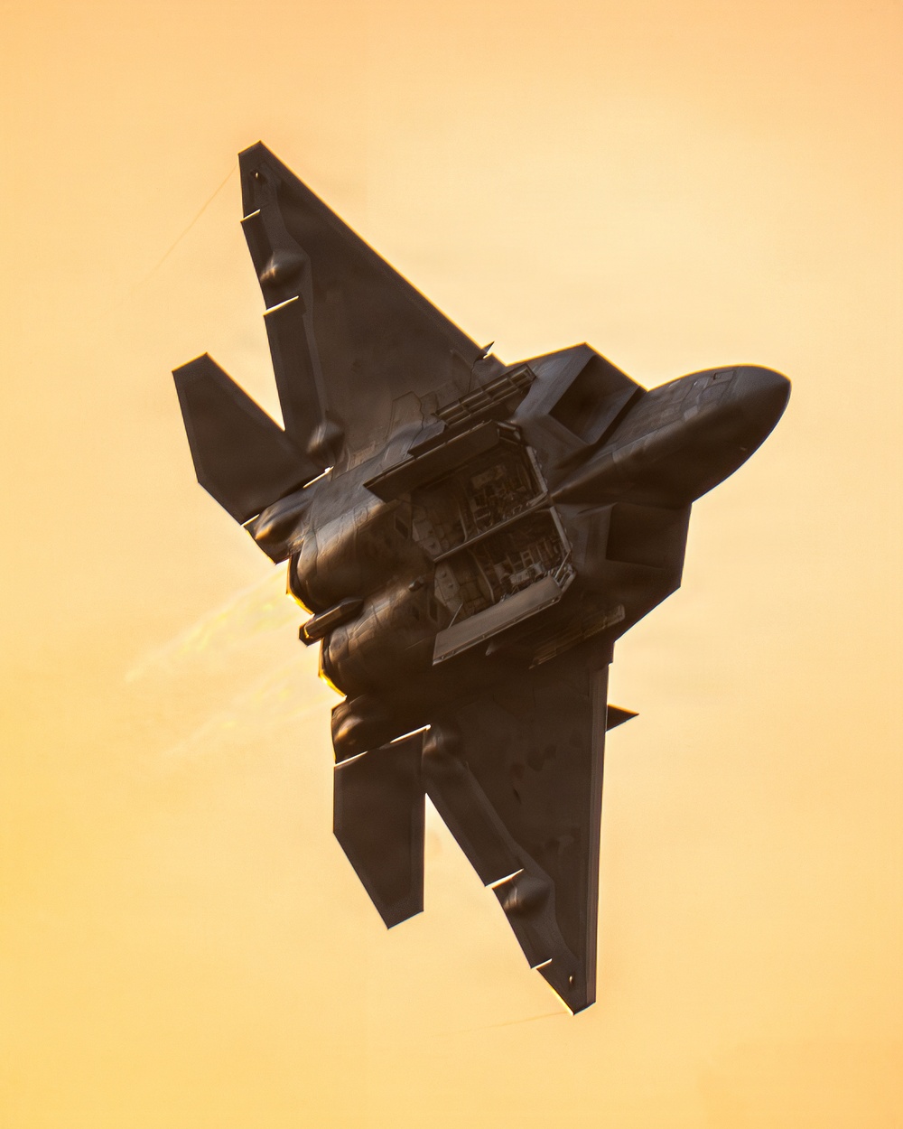 F-22 Aerial Demonstration Team joins 52nd Annual SUN 'n FUN Aerospace Expo