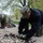 SWESC Great Lakes Students Plant Flowers to Commemorate Sexual Assault Prevention Awareness Month