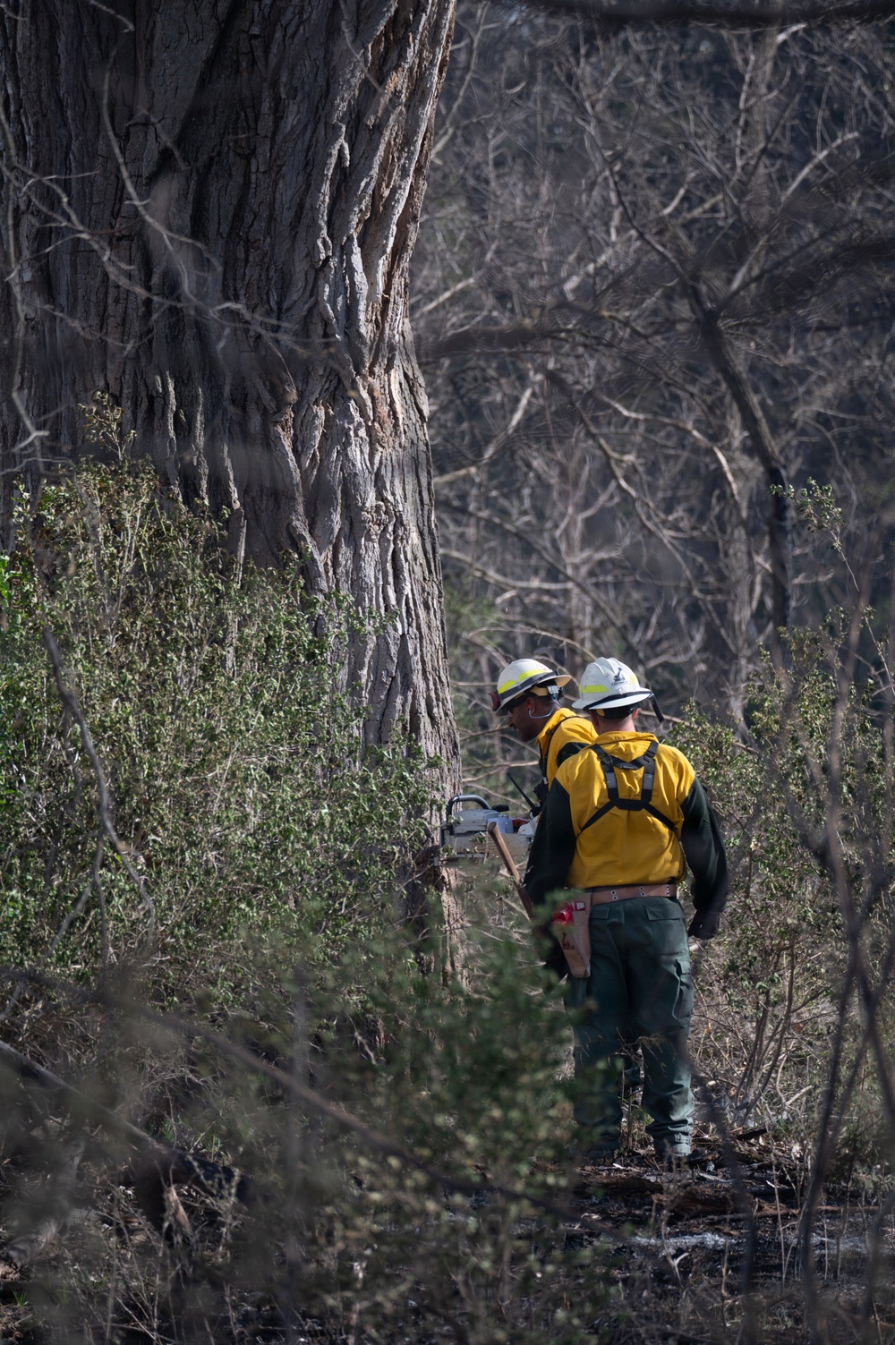 Nebraska National Guard assists with Pressey Park Fire