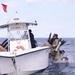 Special Forces Combat Dive Students Take to Ocean for Training
