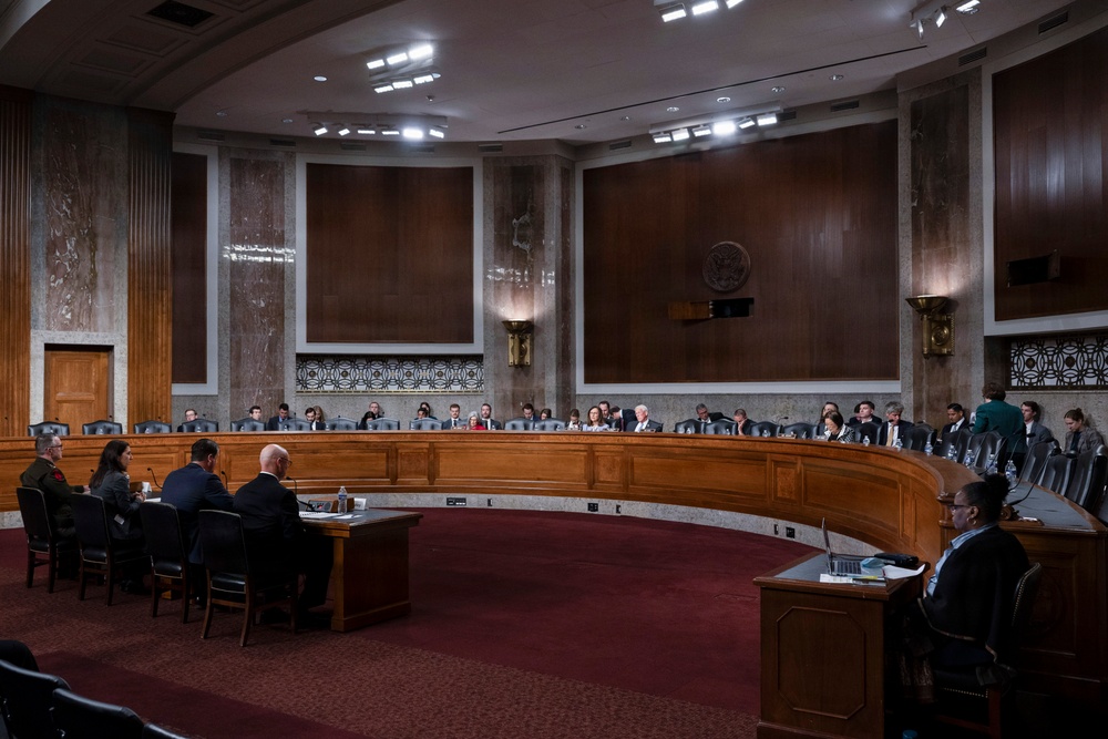 SOCOM and CYBERCOM SASC testimony