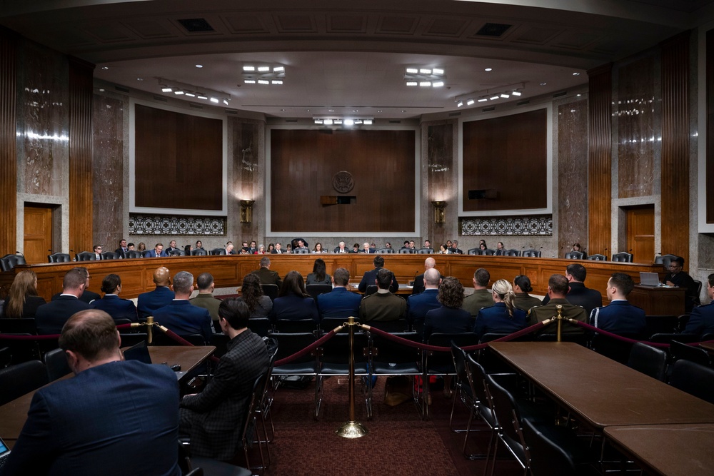 SOCOM and CYBERCOM SASC testimony