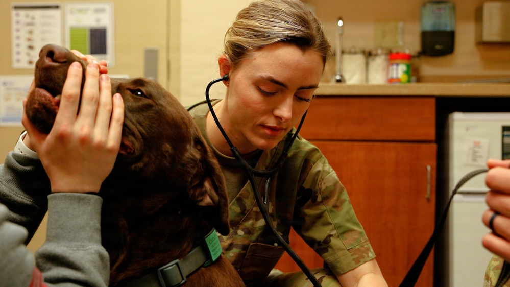 Fort Benning Veterinary Center supports MCoE mission, Families
